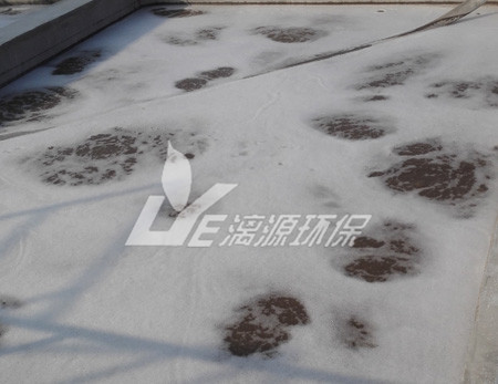 工業(yè)污水處理現(xiàn)代的處理技術有哪些？