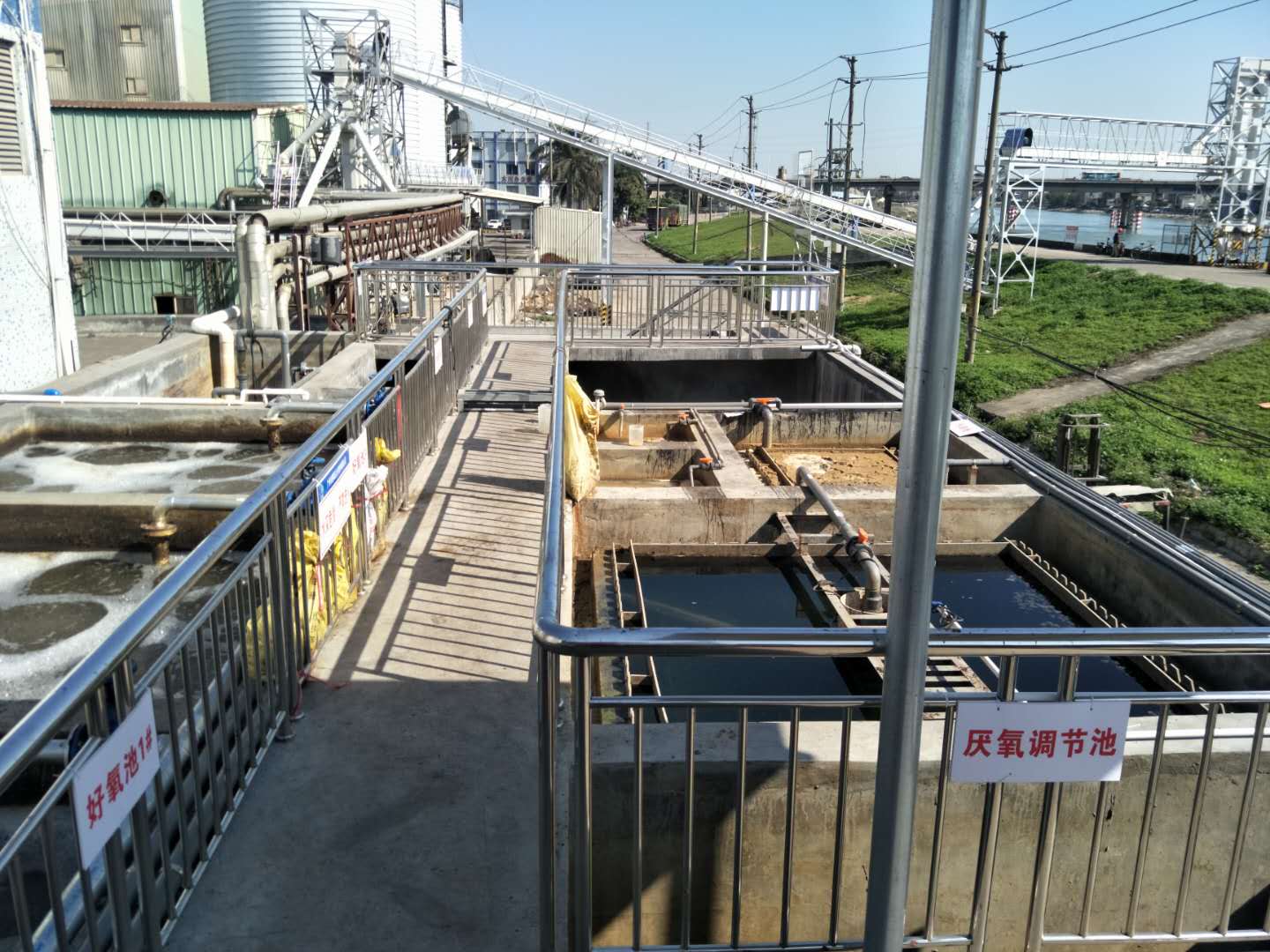 食品廢水植物處理技術(shù)，你知道嗎？