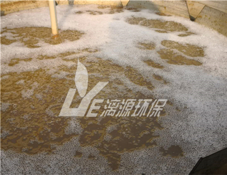 果醬加工廠(chǎng)廢水處理技術(shù)